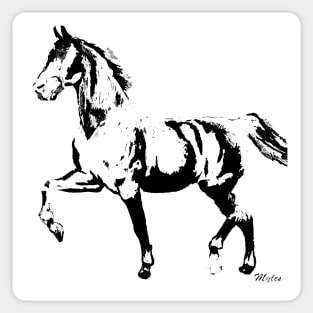 Horse: The Black and White Stallion Sticker